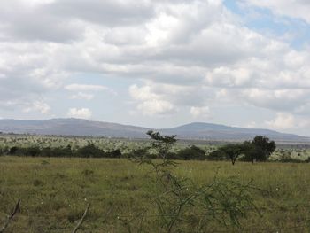 Scenic view of landscape against cloudy sky