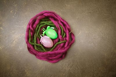 Violet and green nest with easter eggs