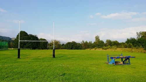 Trees on grassy field