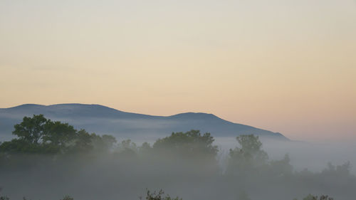 View of trees on mountain range against sky