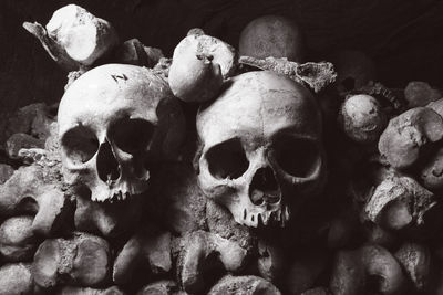 Close-up of human skull