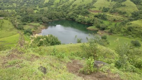 High angle view of lake amidst trees