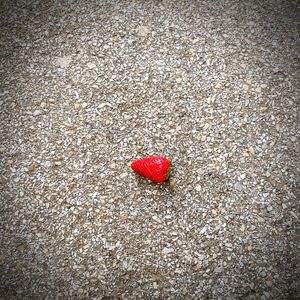 High angle view of red berries on sand