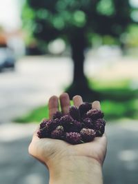 Close-up of hand holding berry fruits outdoors