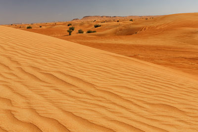 Scenic view of desert against sky