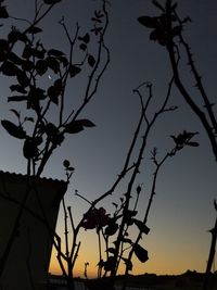 Low angle view of silhouette bare tree against sky at dusk