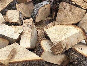 Full frame shot of wooden logs in forest