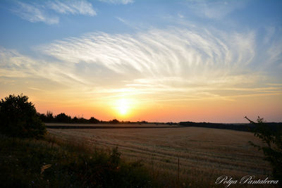 Scenic view of field against sky during sunset