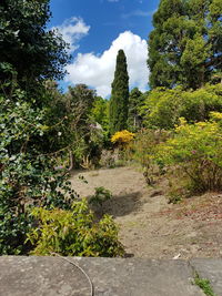 Plants growing on landscape against sky