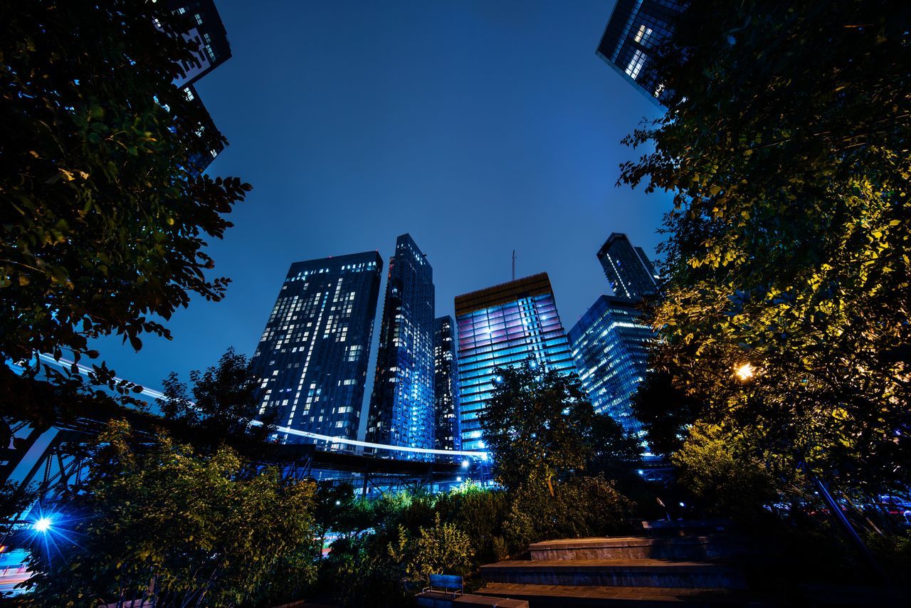 tree, built structure, plant, architecture, building exterior, illuminated, sky, night, city, low angle view, nature, building, tall - high, no people, office building exterior, growth, outdoors, modern, skyscraper, tower, financial district