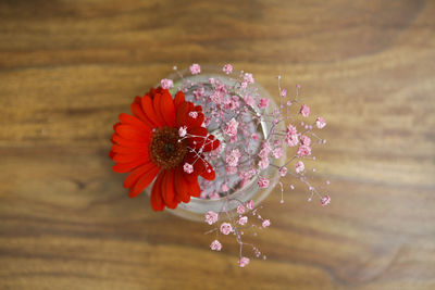 Close-up of flowers in jar on table