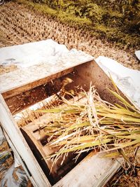 High angle view of wood on field