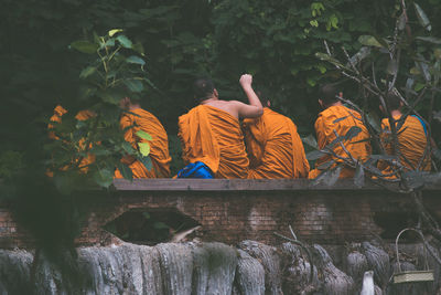 Rear view of people against orange plants