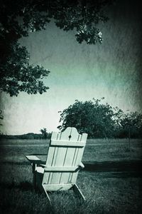 Empty bench in park