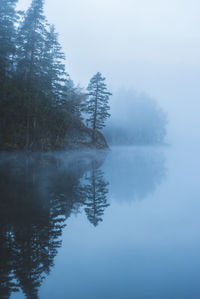 Reflection of trees in calm lake in foggy weather