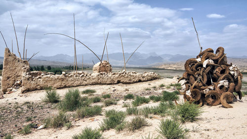 Panoramic view of field against sky
