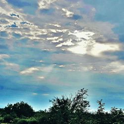 View of trees against blue sky and clouds