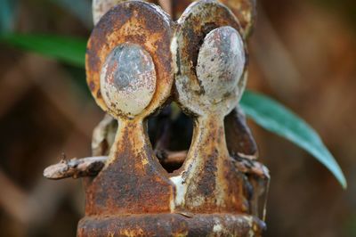 Close-up of rusty metallic fence