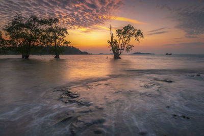 Scenic view of sea against orange sky