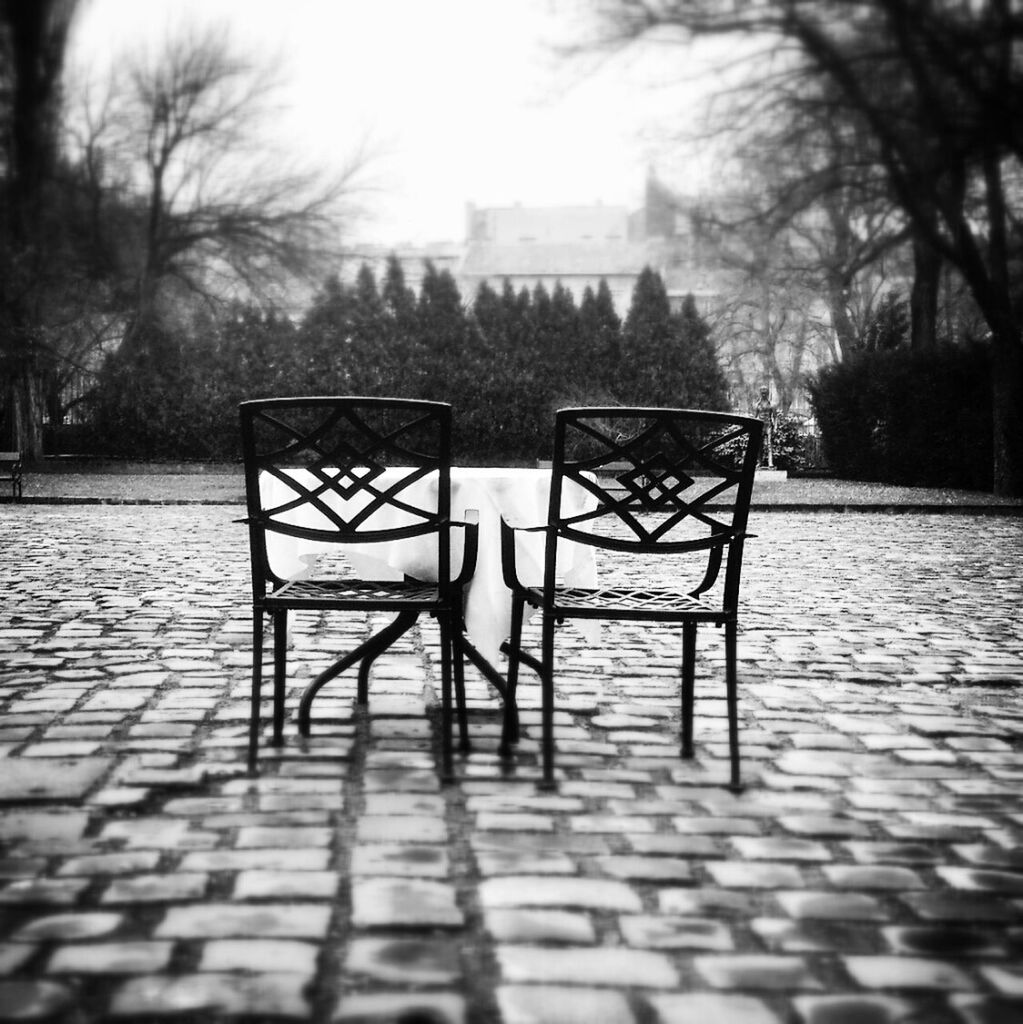 tree, empty, absence, bench, shadow, built structure, park - man made space, footpath, railing, the way forward, sunlight, sidewalk, seat, architecture, park bench, chair, day, walkway, metal, no people