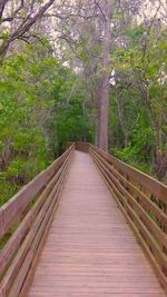 Wooden footbridge in forest