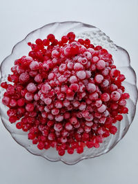 High angle view of red berries against white background