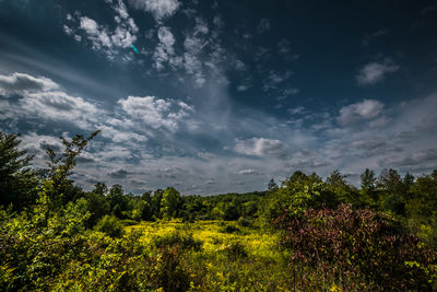 Scenic view of landscape against cloudy sky