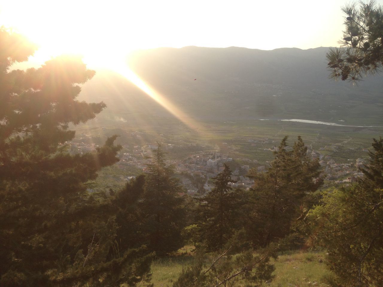 SUNLIGHT STREAMING THROUGH TREES ON LANDSCAPE