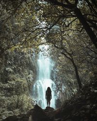 Rear view of woman standing by waterfall in forest