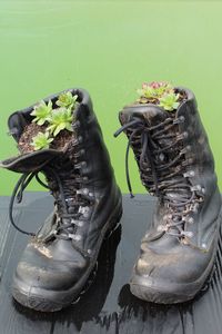 Close-up of shoes