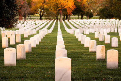 Panoramic view of cemetery