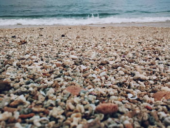 Close-up of pebbles on beach