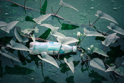 High angle view of bottle floating on water