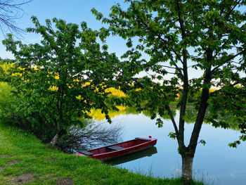 Boat moored on lake by trees against sky