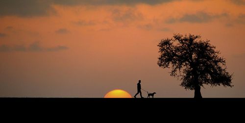 Silhouette man and tree against sky during sunset