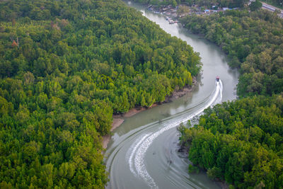 High angle view of road amidst trees in forest