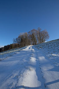 Trees on snow covered landscape against blue sky