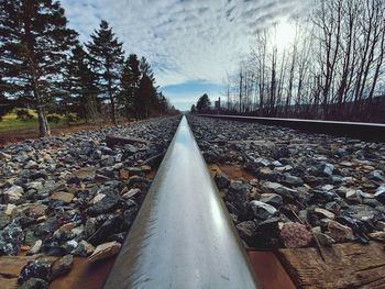 Surface level of railroad tracks against trees