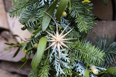 Detail from a advent wreath in front of an stack of wood