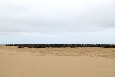 Scenic view of desert against sky