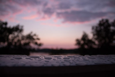 Close-up of tree against sky at sunset