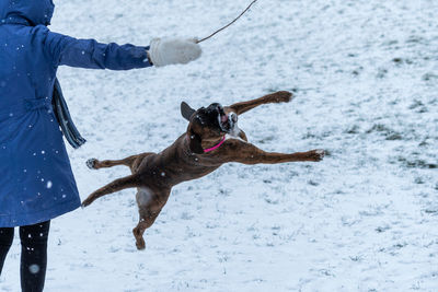 Man with dog on snow