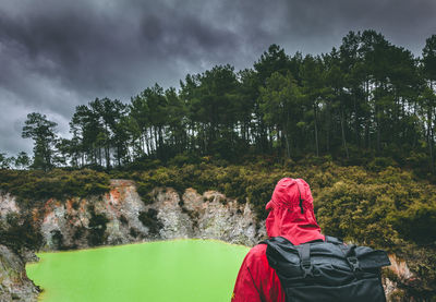 Rear view of man by trees against sky