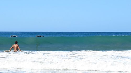 Scenic view of sea against clear sky