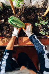 High angle view of man holding leaf