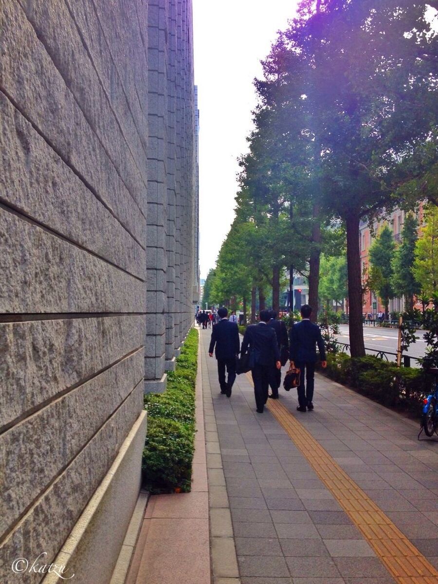 tree, person, men, large group of people, walking, city, architecture, built structure, building exterior, lifestyles, city life, the way forward, street, leisure activity, medium group of people, footpath, group of people, rear view, day