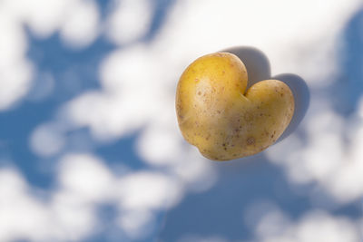 Close-up of heart shape fruit growing on plant