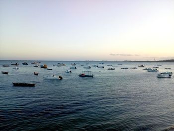 Boats on sea during sunset