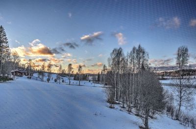 Scenic view of snow covered landscape