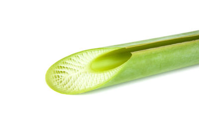 Close-up of green leaf against white background